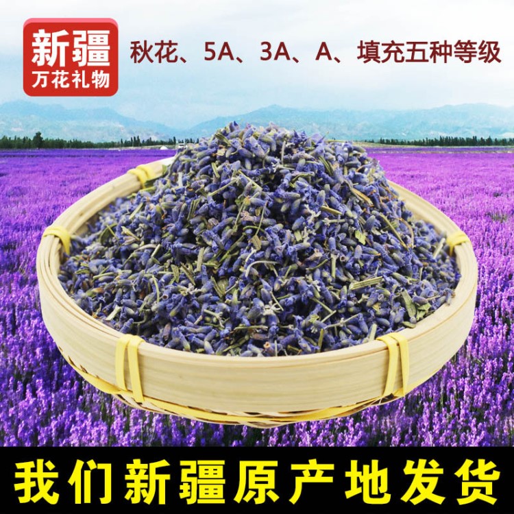 薰衣草厂家直销新疆伊犁薰衣草干花香包填充薰衣草香料 新货批发