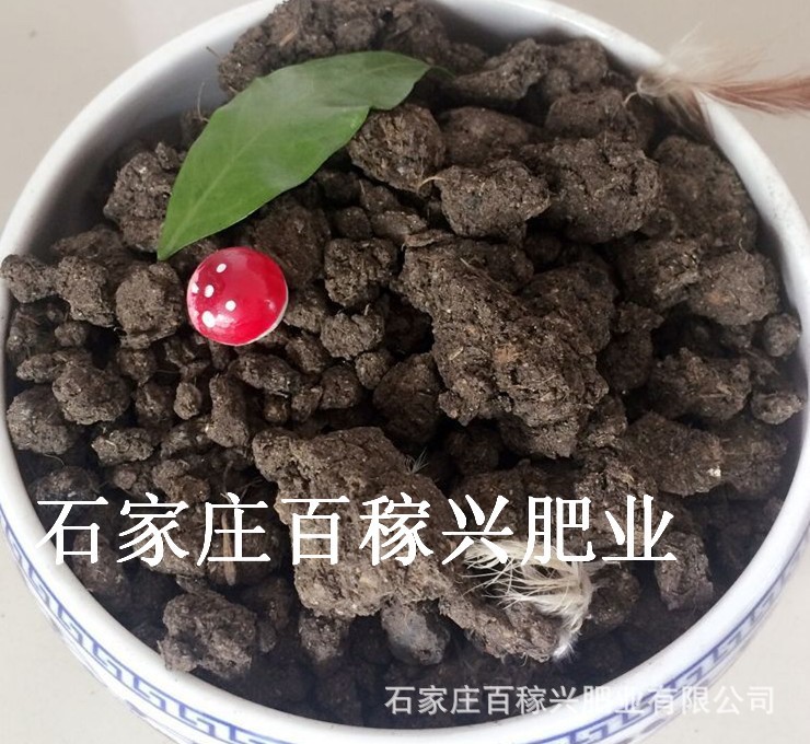 保定雞糞發(fā)酵有機肥 發(fā)酵羊糞 麻山藥種植專用生物菌肥