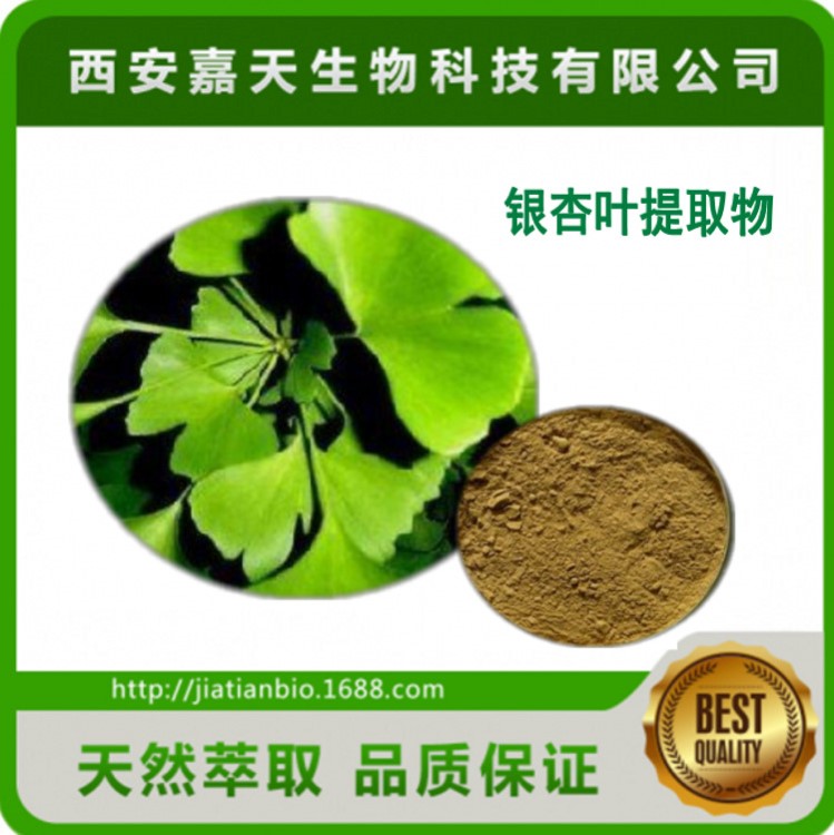 銀杏葉提取物 20：1 銀杏葉黃酮24% 水溶性銀杏葉粉 廠家直銷
