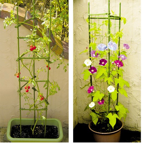 2套包郵 組合式園藝支架 爬藤植物 月季西紅柿黃瓜架子蔓藤花架