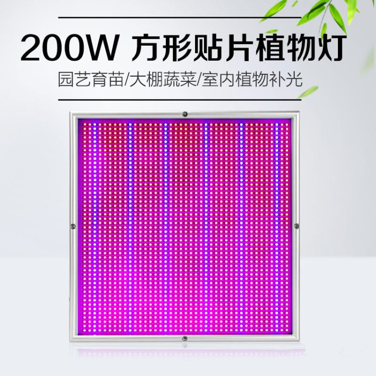 亚马逊200W植物生长灯LED大棚植物生长灯果树麻灯外贸