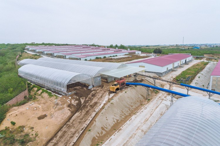 库存清仓 福建茶叶有机肥厂家批发 发酵鸡粪 高肥效瓜果蔬菜种植