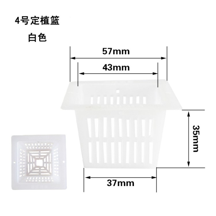 厂家批发 44-54MM水培花卉定植篮 PE定植篮 黑白两色可选4号方形