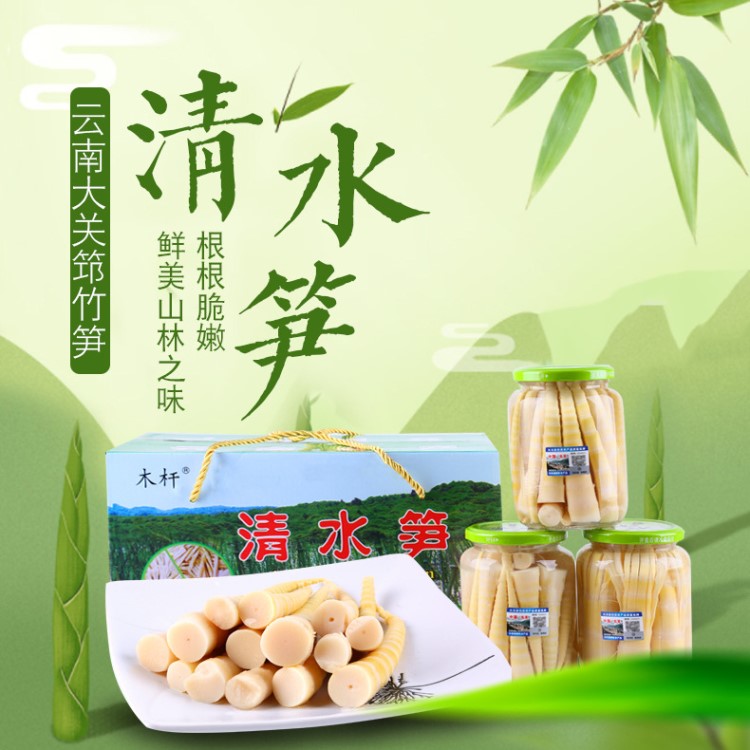 云南大關筇清水筍4瓶裝羅漢筍尖2600g禮盒裝竹筍尖現貨高山竹筍