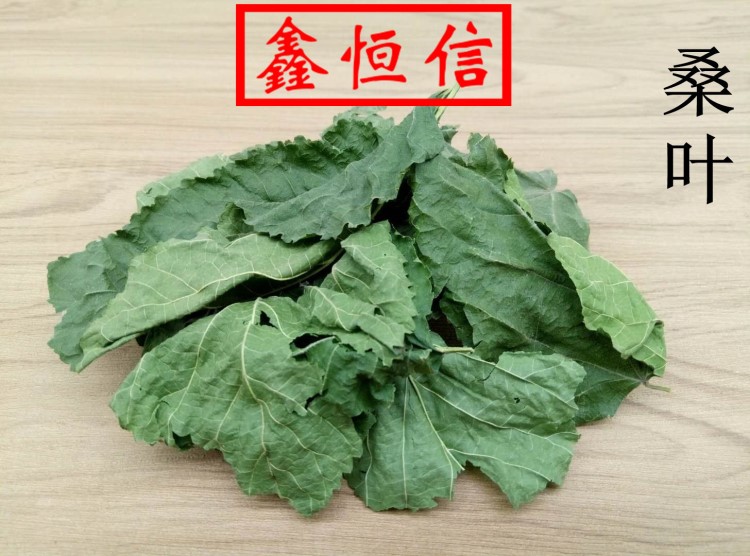 供應(yīng)藥材桑葉 個(gè)子片子下料散裝機(jī)器捆各種規(guī)格大貨供應(yīng)承接訂單