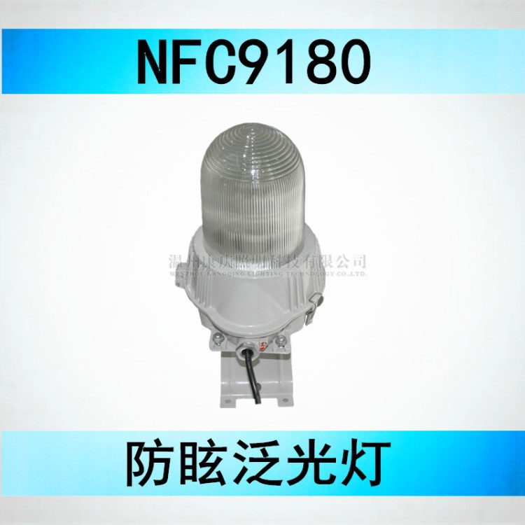 海洋NFE9180防眩应急顶灯 NFE9180报价图片厂家直销 停电自动亮