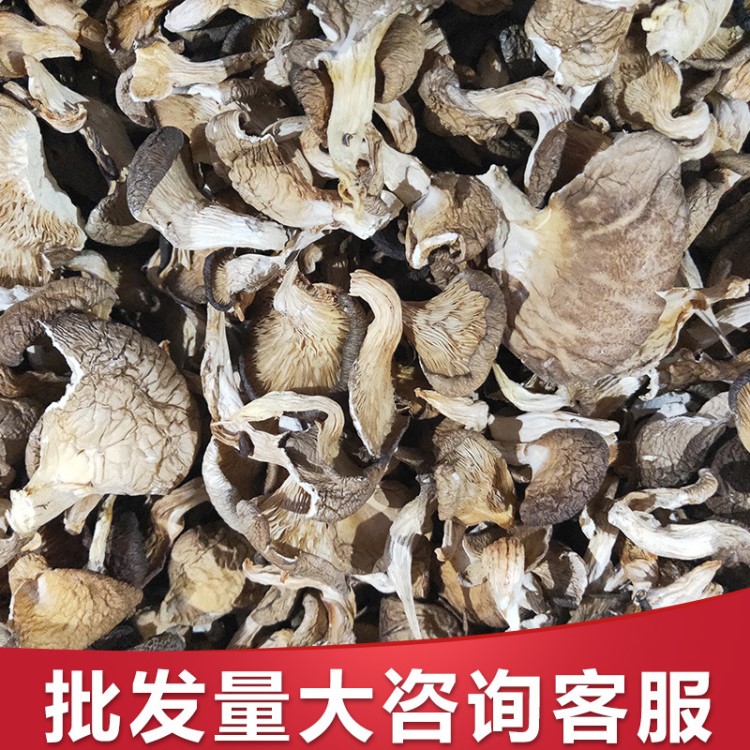 【批发团购】厂家直销香菇干货 特产平菇供应商 食用菌菇