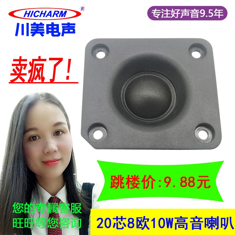 工廠直銷 20芯高音喇叭 藍牙戶外音響專用 8歐10瓦揚聲器speaker