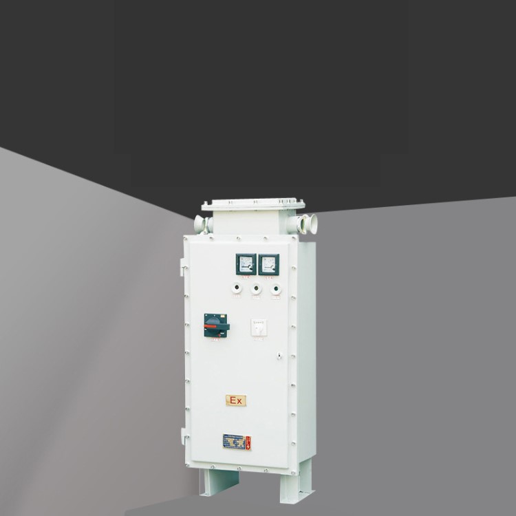 廠家直銷BQXB52系列粉塵防爆變頻器 粉塵防爆電器材防爆開關(guān)