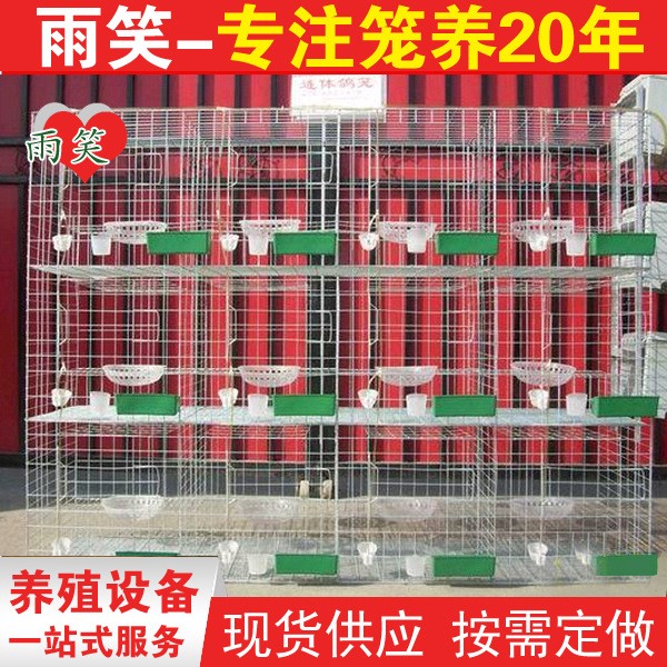生產三層鴿籠 現貨供應立式鍍鋅鴿籠 新式鴿子籠設備