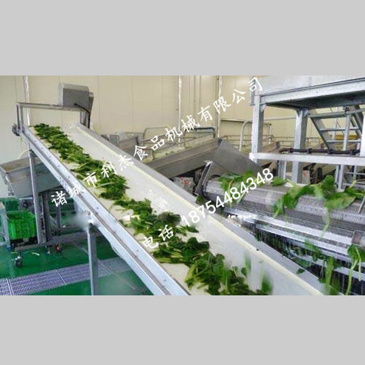 胡蘿卜清洗機(jī) 不銹鋼胡蘿卜成套加工流水線-利杰機(jī)械
