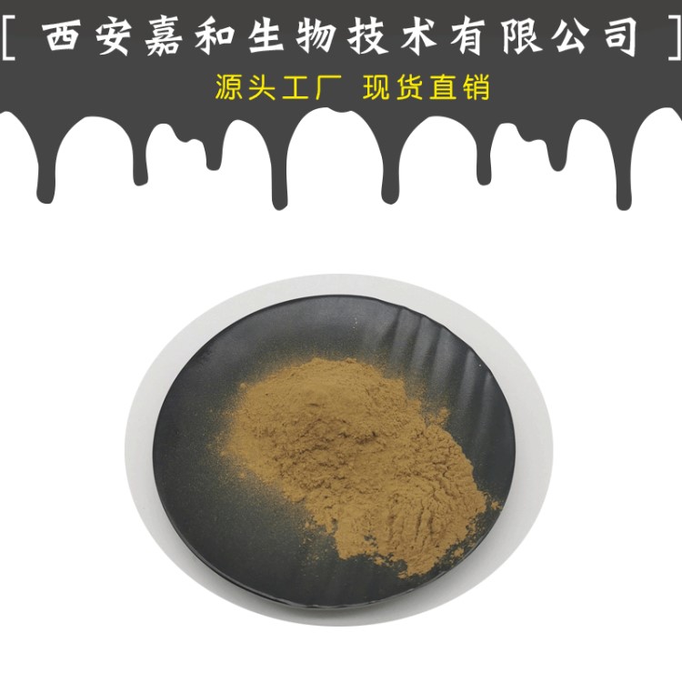 雪蓮花提取物10:1 雪蓮黃酮 天然雪蓮提取物 雪蓮果粉 廠家直銷