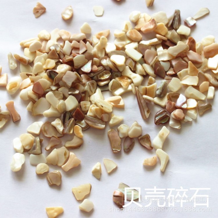 廠家大量供應批發貝殼不規則顆粒貝殼碎片透水地坪用貝殼卵石