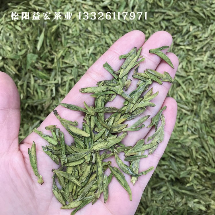 2019新茶 明前浙江龍井茶 特級(jí)高山烏牛早 綠茶散茶批發(fā)貨源產(chǎn)地