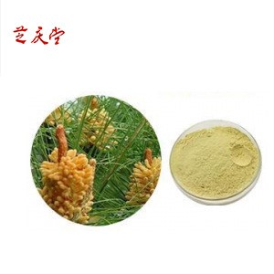 破壁松花粉  馬尾松 破壁率98% 質(zhì)優(yōu)價(jià)廉