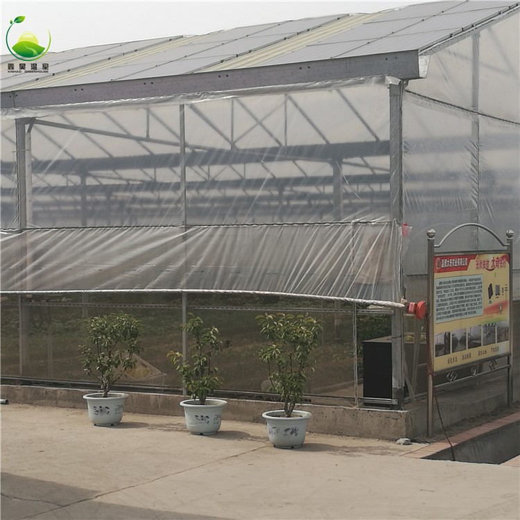 太陽(yáng)能光伏薄膜大棚 花卉單體溫室大棚 光伏玻璃溫室餐廳