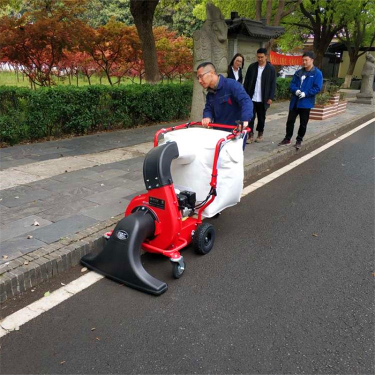 凱達(dá)仕落葉回收吸塵器 吸樹葉機(jī)器YC-XY55小區(qū)道路草坪樹葉回收機(jī)