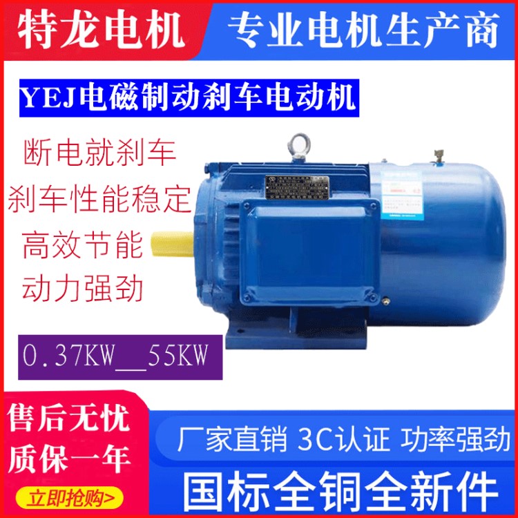 YEJ電磁制動(dòng)電機(jī)18.5/22/30/37/45/55kw 剎車馬達(dá)三相異步電動(dòng)機(jī)