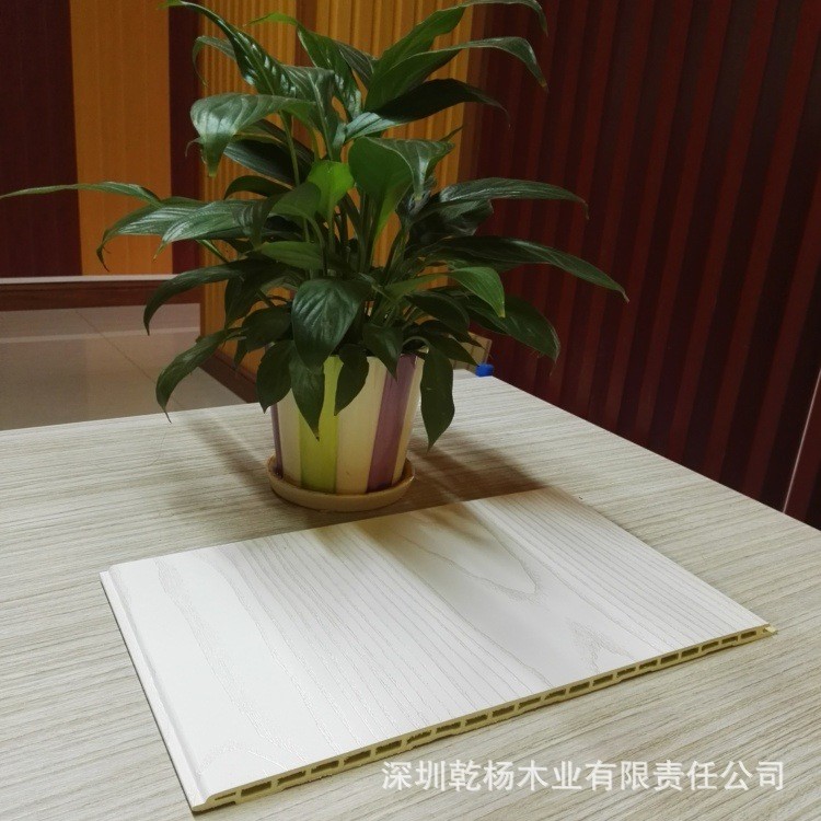 全國低價300中空板 生態木集成墻板 生態木吊頂 天花 木塑廠家