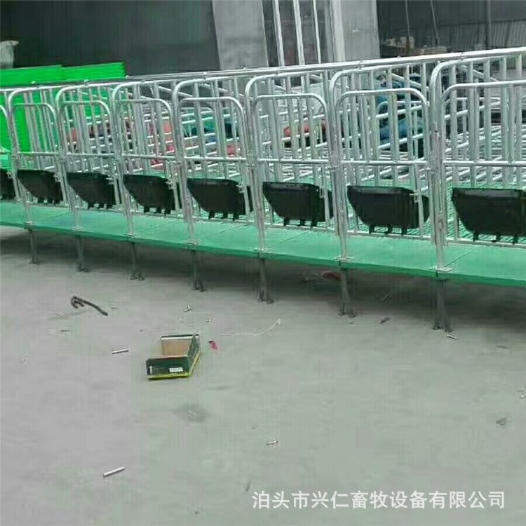 整體熱鍍鋅工藝母豬單體欄 公豬母豬限位欄 復合板定位欄