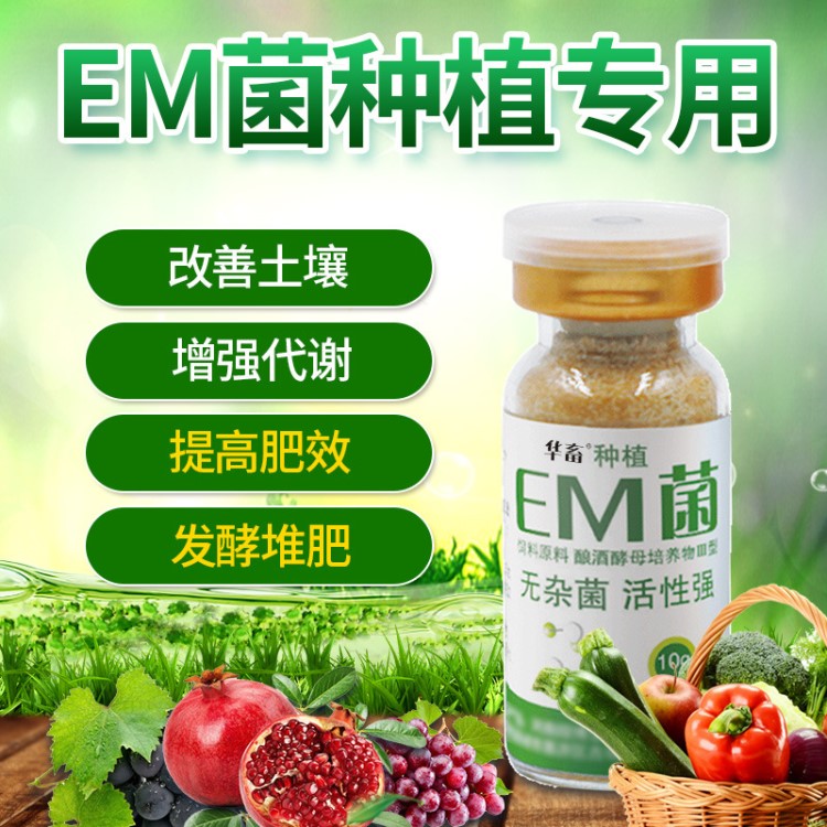 em牛羊植牛羊種植益生菌 劑有機肥豬菌種雞糞益生菌 床 制40斤EM