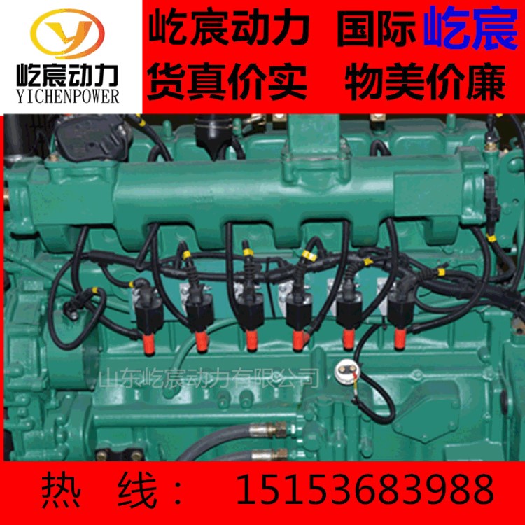 20kw天然氣沼氣發(fā)電機(jī)組 石油液化氣秸稈氣雙燃料燃?xì)馊~發(fā)電機(jī)