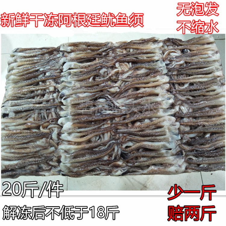 冰凍速凍冷凍新鮮魷魚頭魷魚須魷魚足魷魚爪魷魚串魷魚須20斤一箱