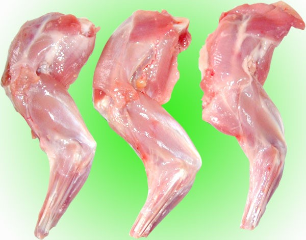 厂家直销冷冻兔前腿兔前 鲜冻兔后腿兔腿10kg*1全国发货