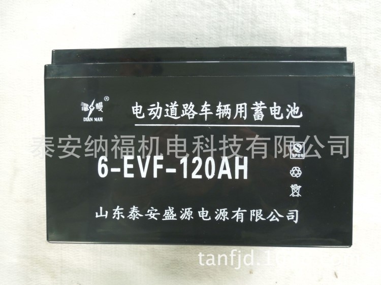 电动环卫车 电动巡逻车专用电池 6v 210a 电动车专用胶体电池