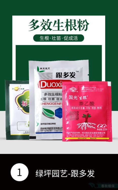 多效生根粉生根移栽促成活促進生根壯苗扦插生根國光生根粉