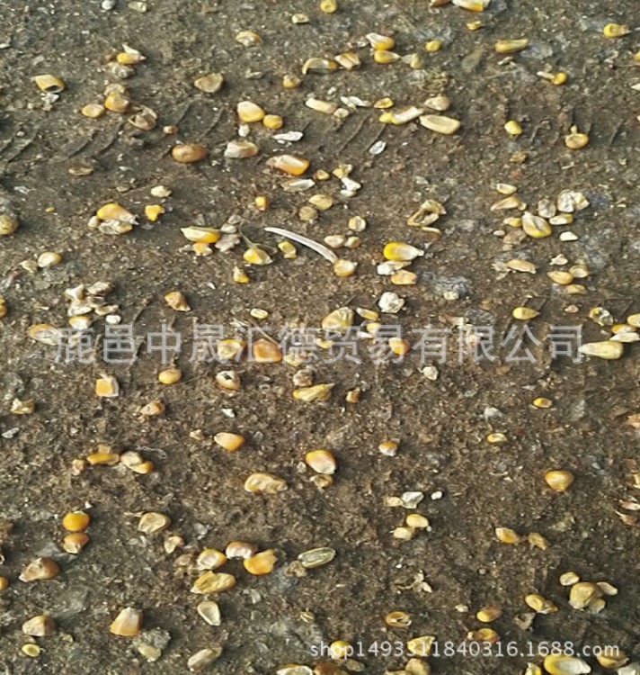 批量供貨　質(zhì)量如實(shí)　棒子下腳料夏洛萊肉牛飼料