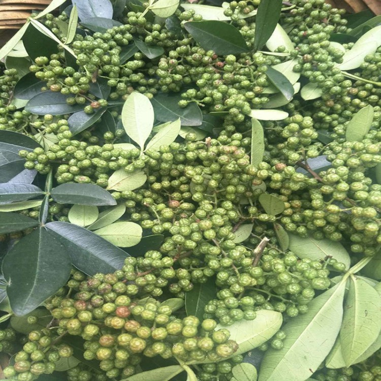 云南高原特色青花椒 低價批發(fā)麻椒 調(diào)味品花椒 干花椒