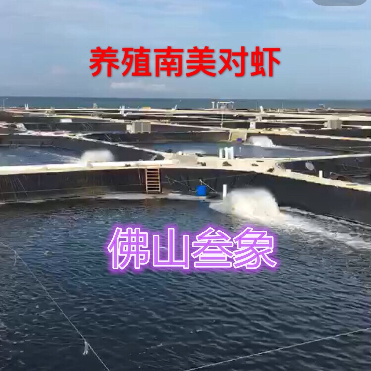 黑色水池防渗膜虾塘鱼塘铺底布厂家批发PE保用3年防渗布莲藕种植