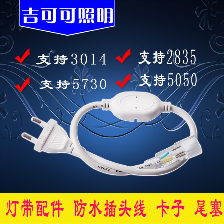 led燈帶 led插頭防水插頭線 高壓燈帶配件 RGB同步 雙色變光遙控