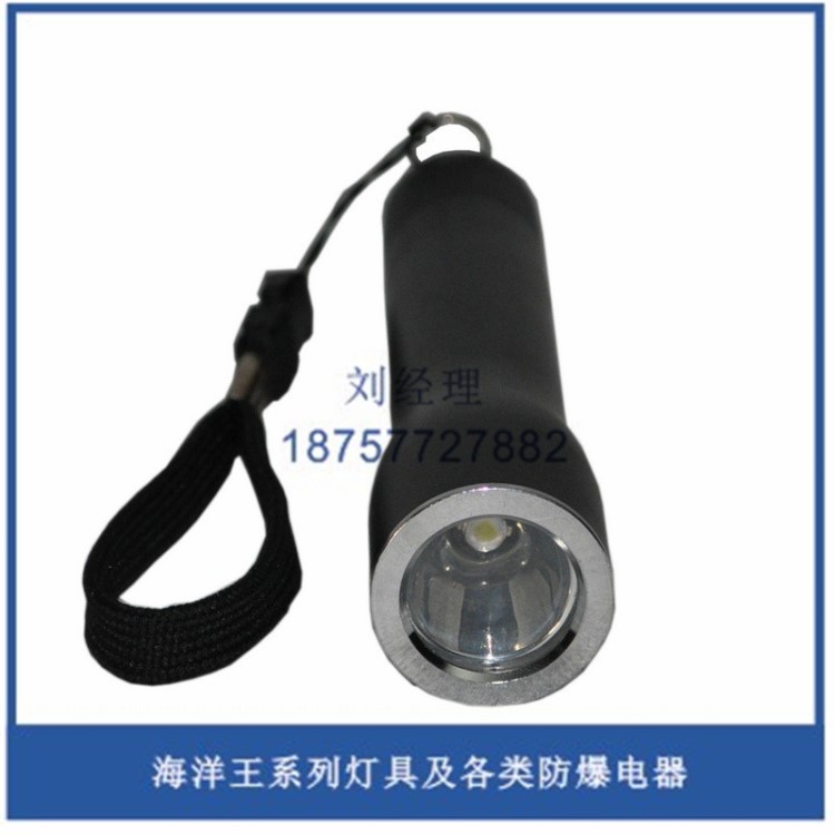 海洋JW7300C微型防爆電筒 防爆手電 LED手電 可充電式手電