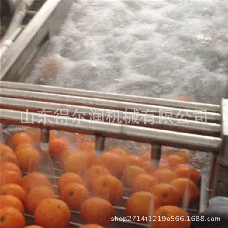 洋柿子清洗機(jī)價(jià)格 蘋果洗刷加工設(shè)備 氣泡噴淋凈菜生產(chǎn)流水線推薦