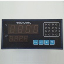 pt100巡檢儀/溫度/壓力/液位/多路/繼電器報警/變送輸出/通訊