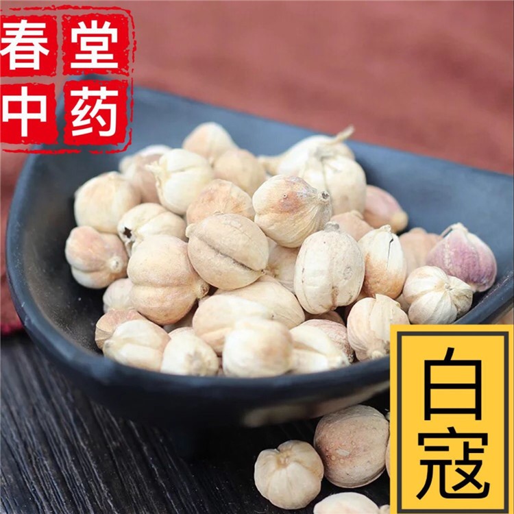 藏春堂 批發(fā)供應(yīng)【白蔻】【白豆蔻】草豆蔻 火鍋調(diào)料