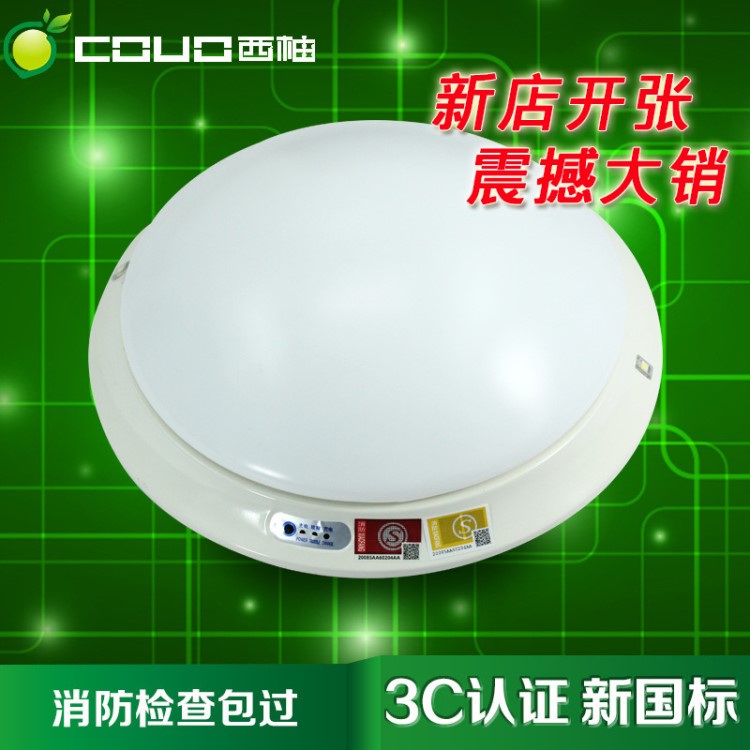 消防應急吸頂燈樓道led聲控吸頂燈人體感應吸頂燈自帶蓄電池