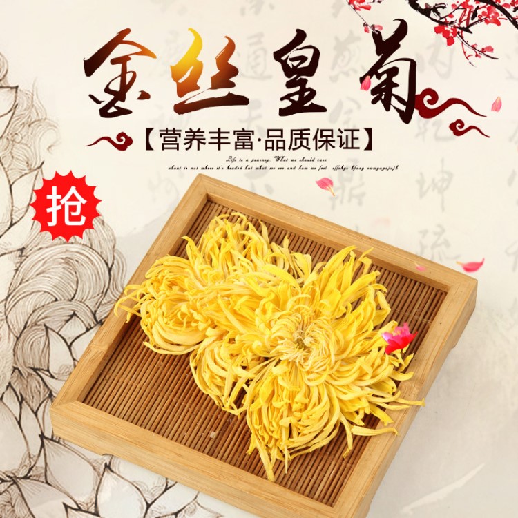 和露泰菊花茶批發(fā) 金絲皇菊一朵一杯花茶 菊皇茶 一手貨源