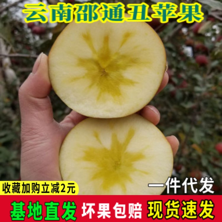 云南邵通丑蘋果水果當季10斤新鮮冰糖心野生脆甜批發代發順豐包郵