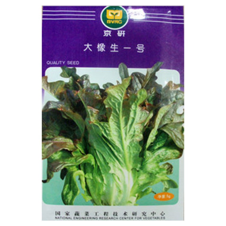 鳳鳴雅世 大橡生1號生菜種子 蔬菜種子公司農(nóng)場種籽批發(fā) 基地用種