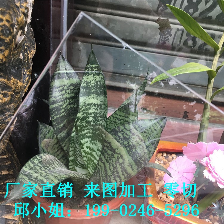 熱賣彩色透明PVC片材 PC硬片彩色塑料片PET卷材PVC硬板 PP板