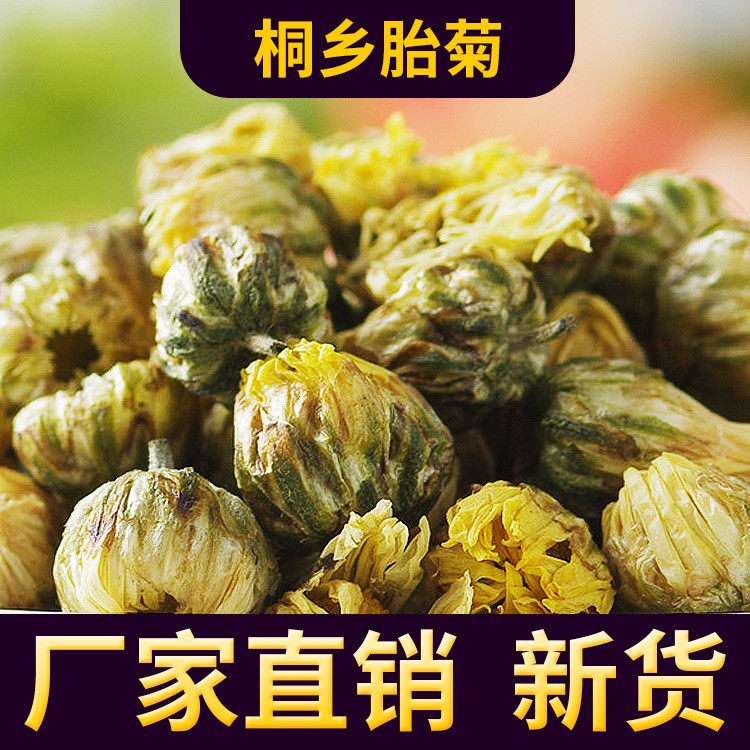 廠家直銷 桐鄉(xiāng)胎菊 散裝 菊花茶杭白菊胎菊 承接訂單加工