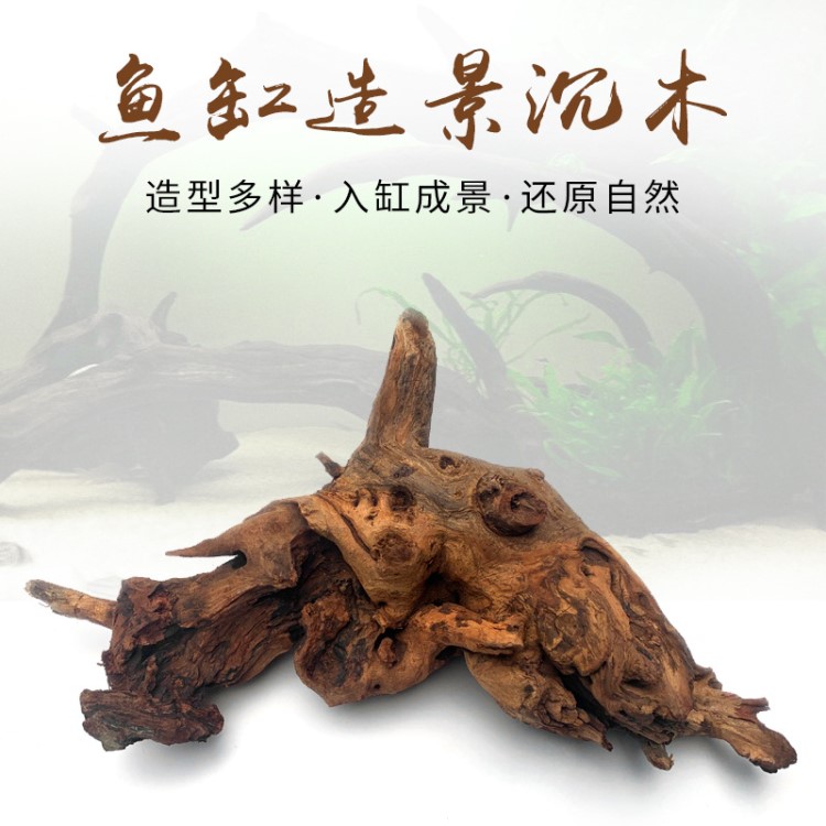 沉木造景木杜鵑根莫斯樹根魚缸水族箱天然造景水草膠水?dāng)[件裝飾品