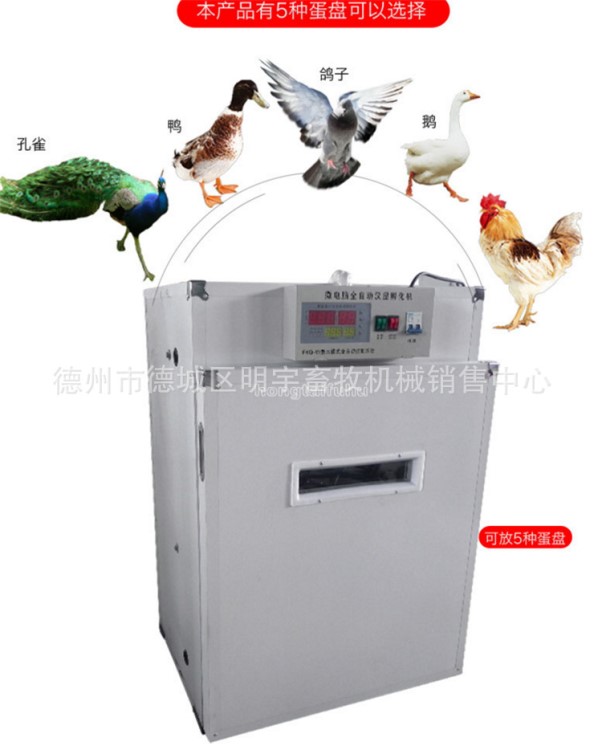 智能孵化機全自動大中小型雞鴨鵝鴿子孵化器箱三用孵化設備孵蛋機