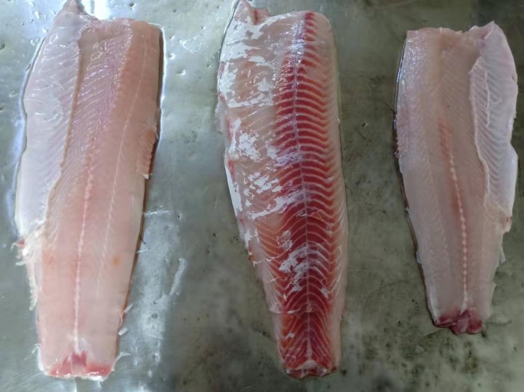 供草魚肉火鍋魚片烤魚片魚柳無刺魚肉加工爆魚魚丸魚滑水餃餡原料
