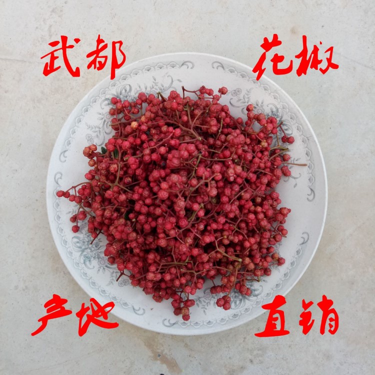 花椒 武都花椒 麻椒  伏椒  隴南大紅袍花椒  道地特產(chǎn)  產(chǎn)地批發(fā)