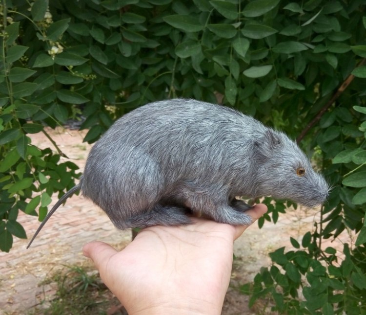 大號仿真老鼠仿真 皮毛動物攝影整蠱道具家居擺件靜態(tài)動物模型