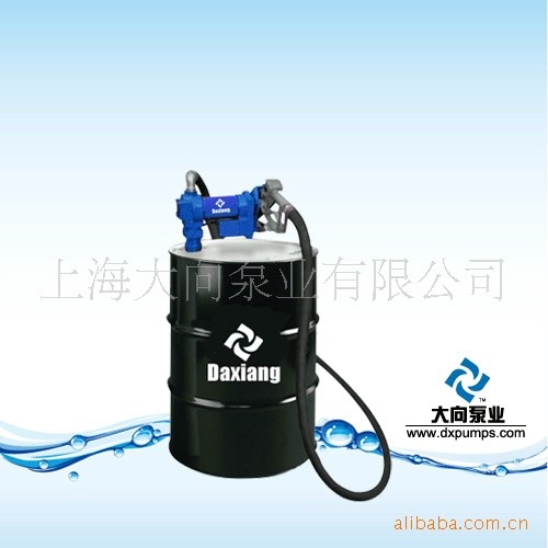 供應大向FT1200C直流燃油加油機，直流12V油桶泵（方便野外使用）